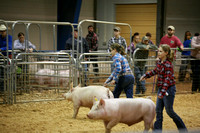 TN 4-H Market Hog Show '17 Day 2